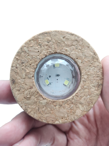 MossBowl- Grow Your Own Beautiful Moss Garden, Complete Kit Come with 3 Mosses!