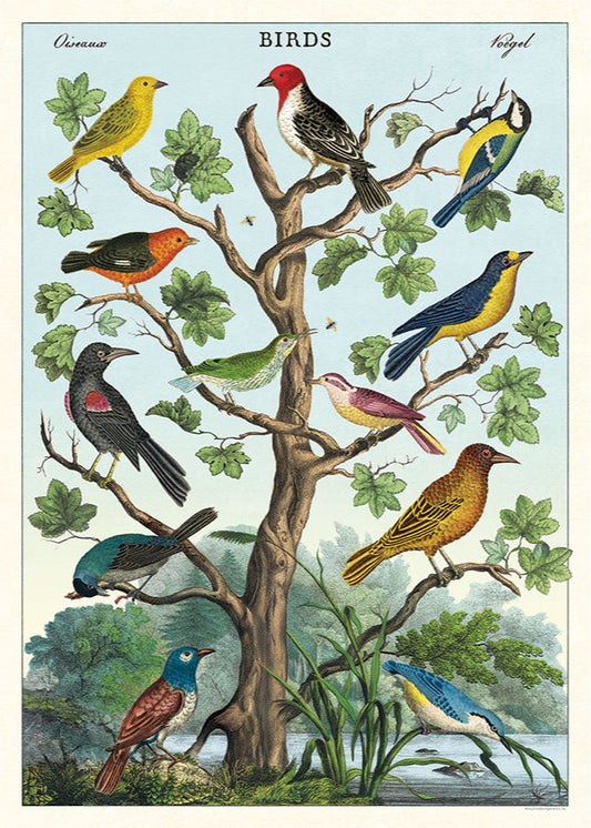 Birds in a Tree Scientific Chart